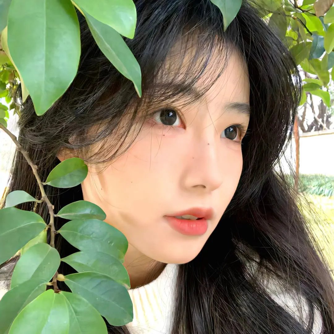 禁宫魅影